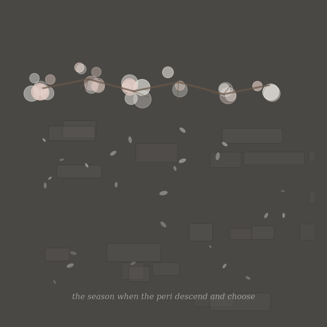 The season of choosing. Apricot blossoms on dark stone. The peri descend when the blossom scent is strongest, select the child by smelling its mouth. White petals falling on a valley that does not know which infant has been chosen.