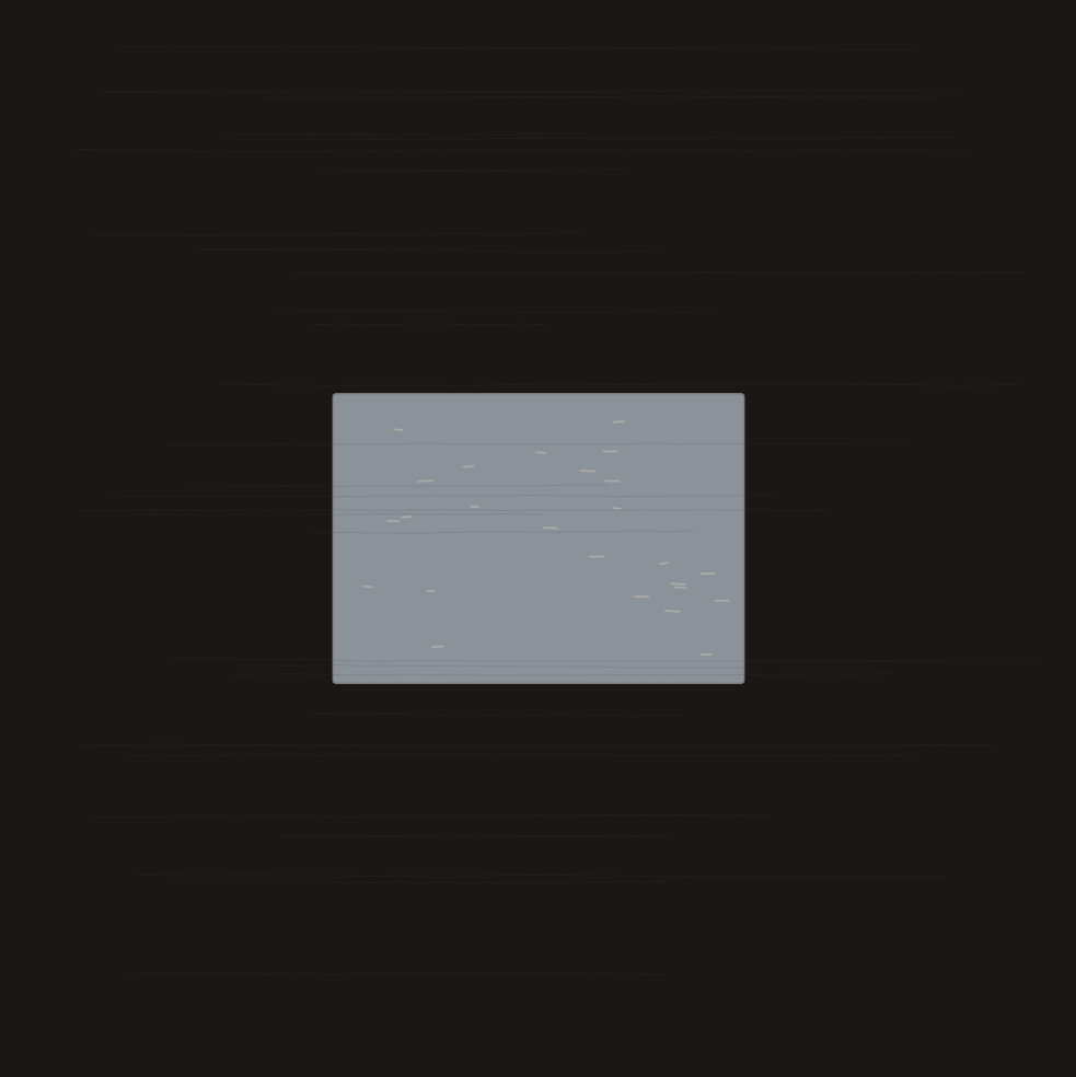 The second stone. Fewer marks, precisely placed. A taxonomist's inventory — everything named, everything in its category.