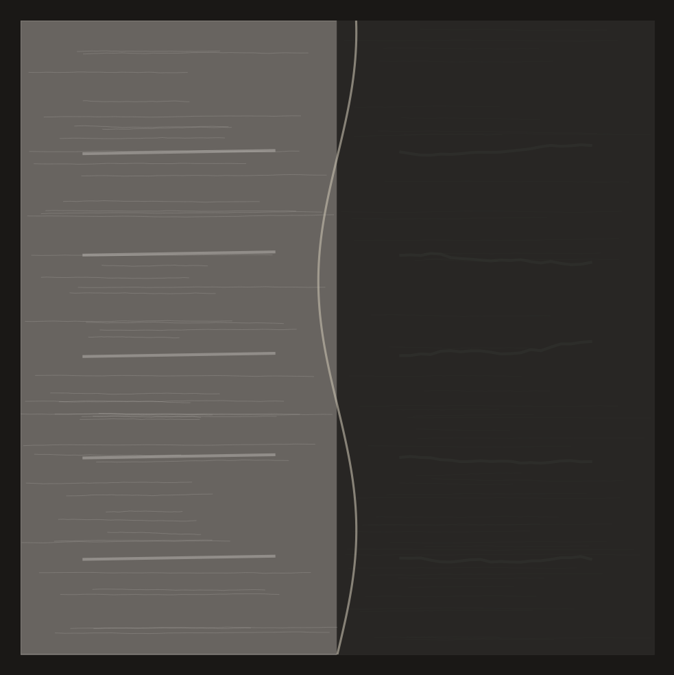 Two kinds of rock. Pale Indian gneiss on the left, dark Kohistan arc basalt on the right. The contact is jagged — not a clean break but a slow, violent embrace.