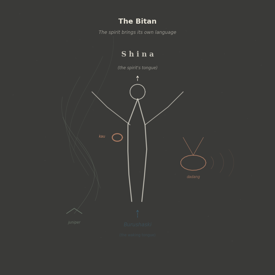Figure 10: The bitan in trance — juniper smoke, drum rhythm, the moment of passage. The Burushaski speaker opens his mouth and Shina comes out. The spirit brings its own language.