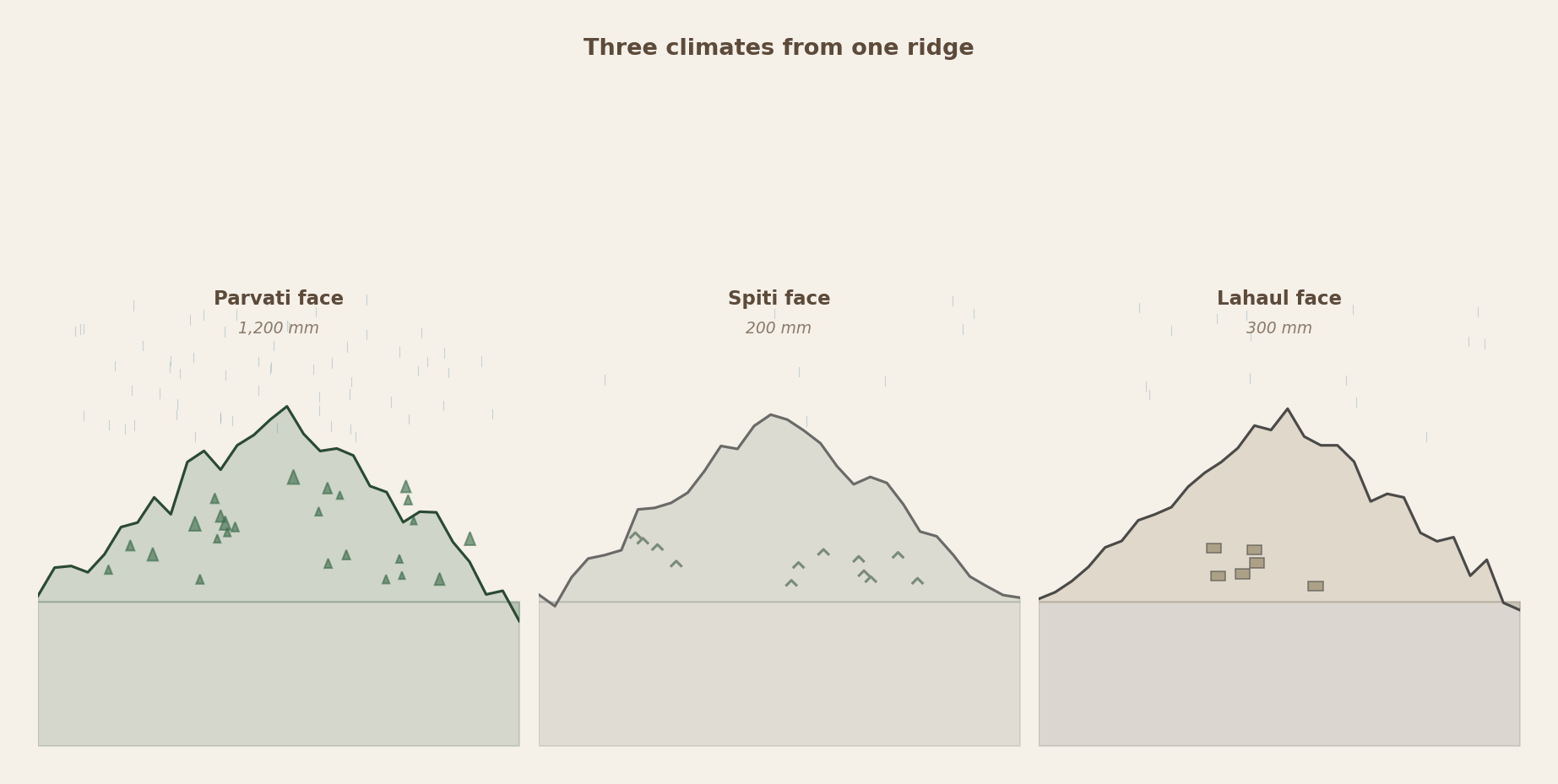 Figure 2: Three climates from one ridge — the moisture gradient. Deodar on the Parvati face, juniper and bare scree on the Spiti face, brown mud-brick on the Lahaul face. The same snow, sorted by aspect.