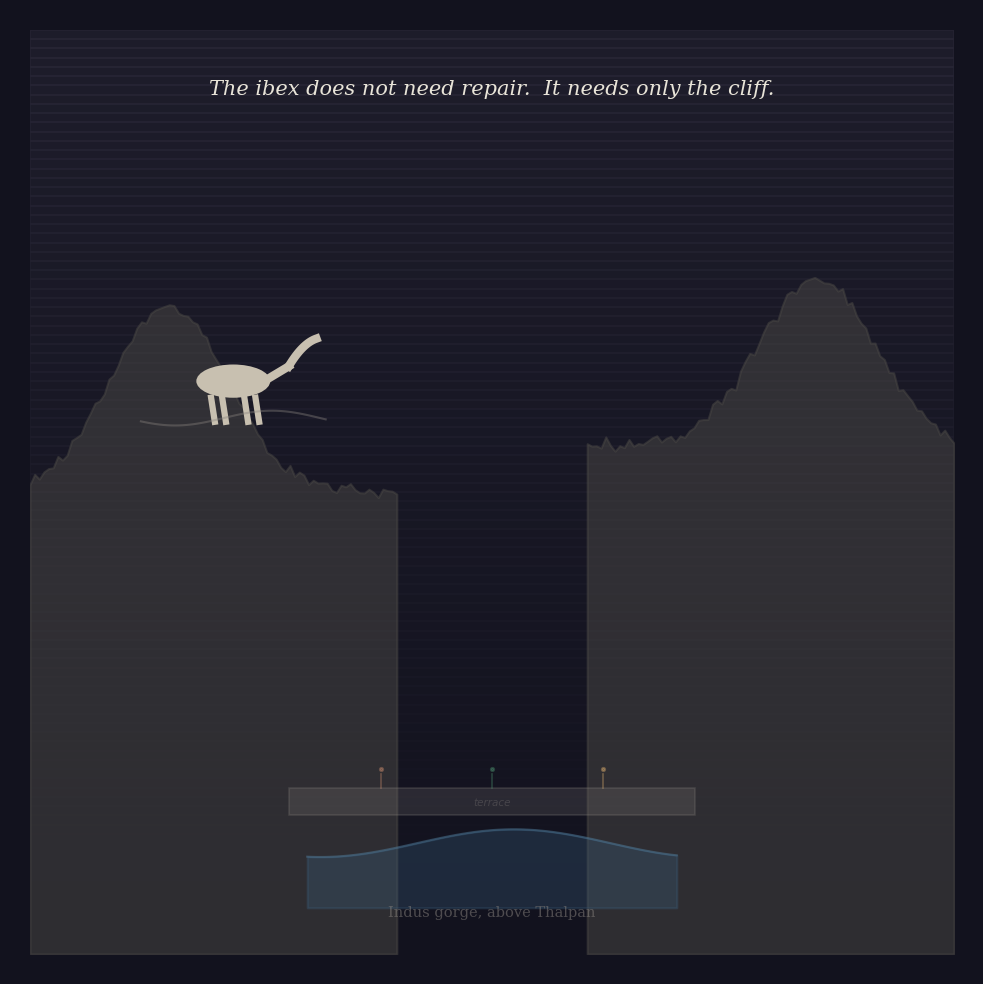 Figure 6: The ibex does not need repair.