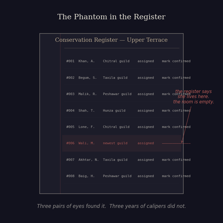 Figure 5: The phantom in the register.
